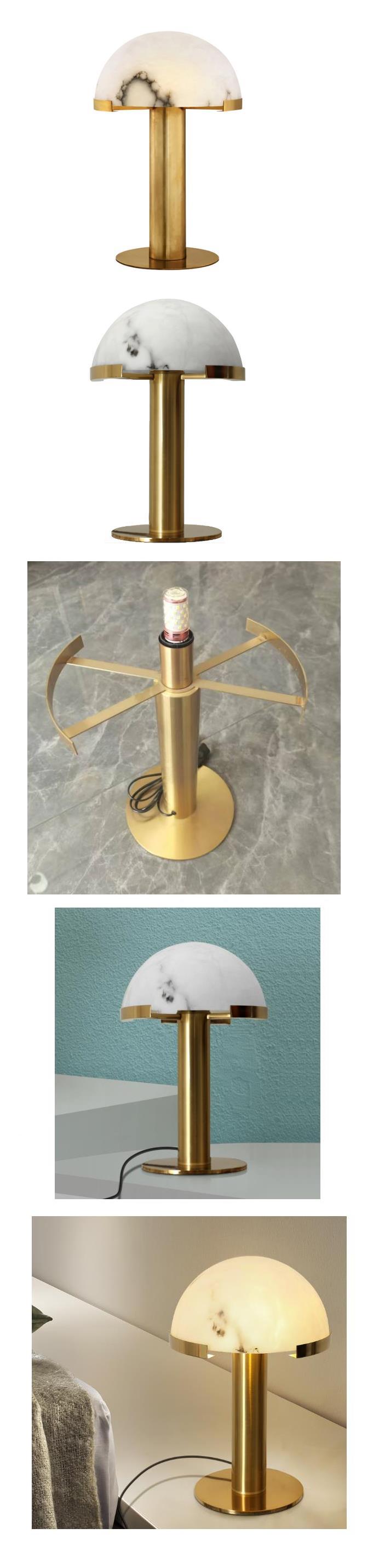 WHT-558